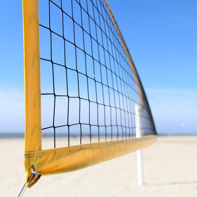 Multi-Purpose Knotted Sports N - Badminton Area reseña y precio