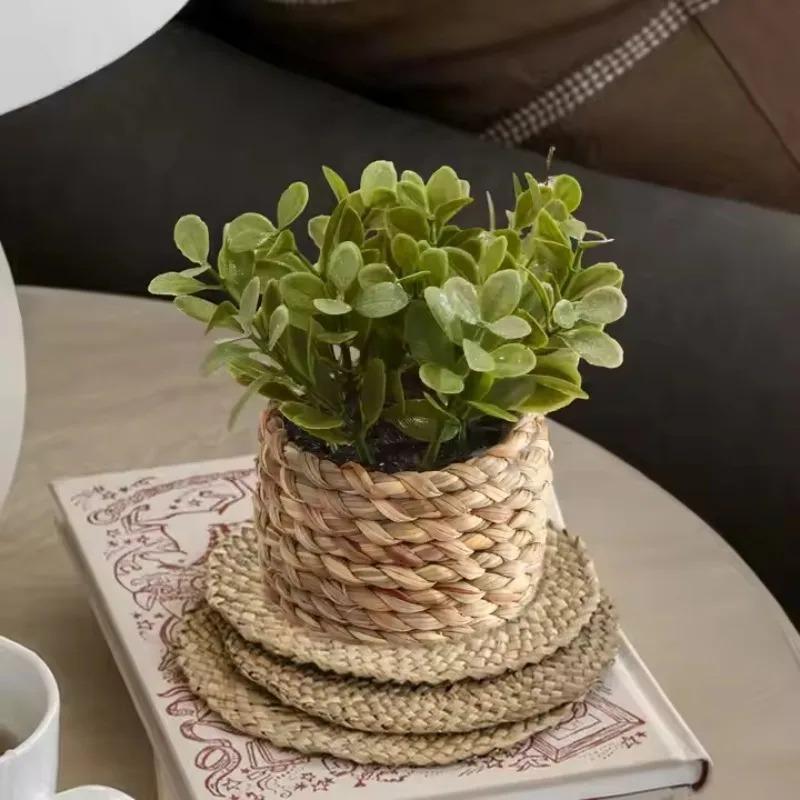 1Pc Potted Plant Small Fake Pl - Badminton Live reseña y precio