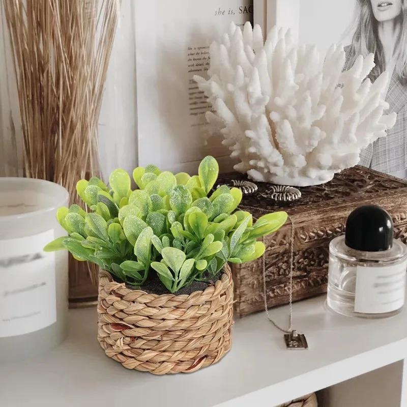 1Pc Potted Plant Small Fake Pl - Badminton Live reseña y precio